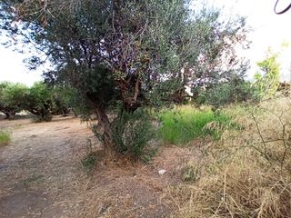 Οικόπεδο 650 τ.μ. για πώληση, Αχαΐα, Πάτρα-thumb-2