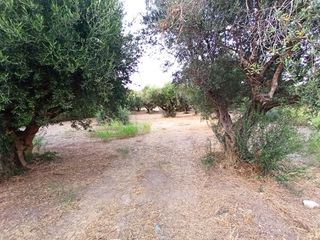 Οικόπεδο 650 τ.μ. για πώληση, Αχαΐα, Πάτρα-thumb-4