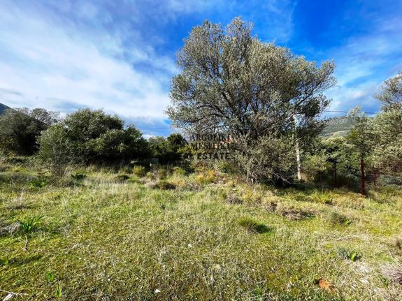Οικόπεδο 422 τ.μ. για πώληση, Αργολίδα, Επίδαυρος