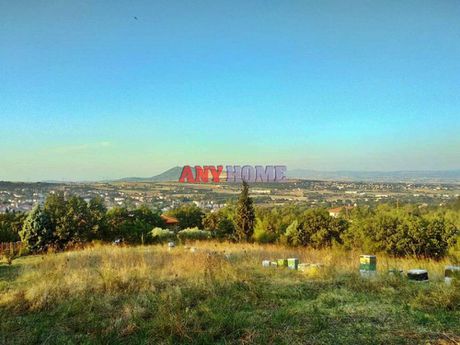 Αγροτεμάχια 2.000 τ.μ. για πώληση