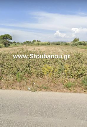 Αγροτεμάχια 8.329 τ.μ. για πώληση, Ν. Ηλείας, Αμαλιάδα