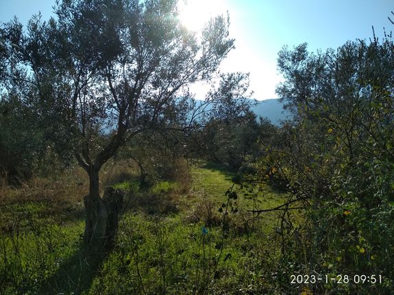 Land plot 2.112 sqm for sale, Phthiotis, Kamena Vourla