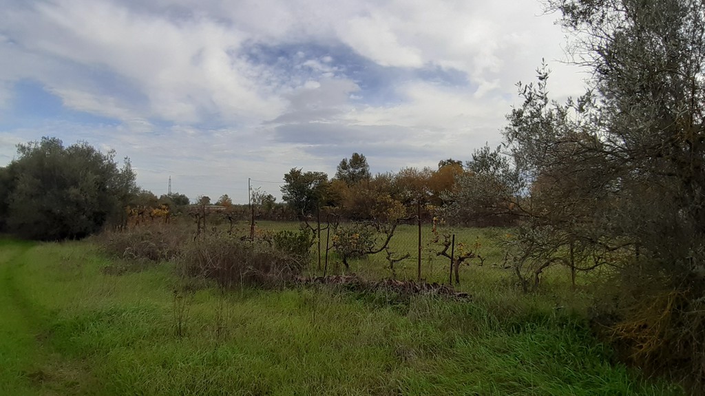 Μονοκατοικία 2.900 τ.μ. προς πώληση, Αλεπόσπιτα