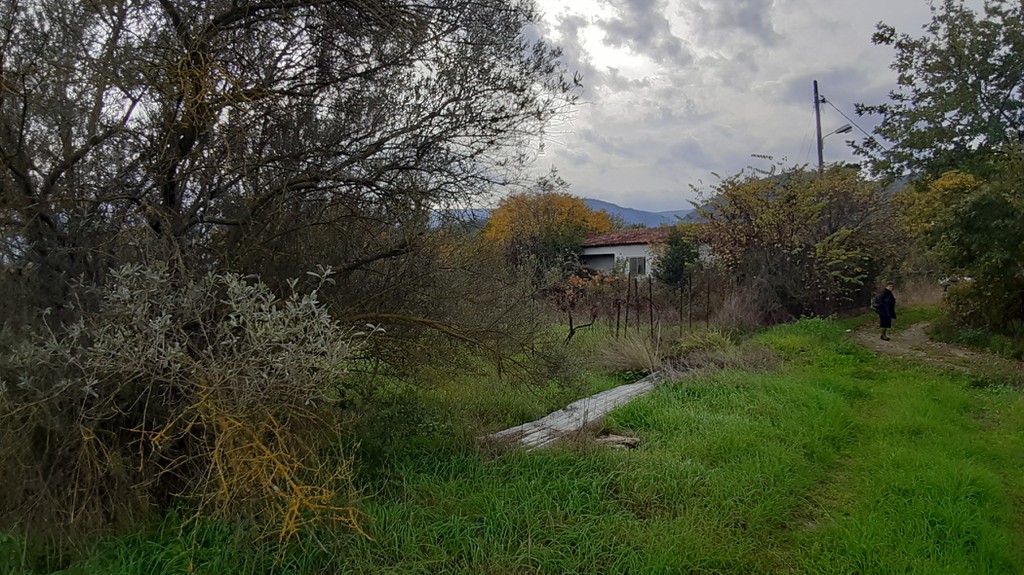 Μονοκατοικία 2.900 τ.μ. προς πώληση, Αλεπόσπιτα