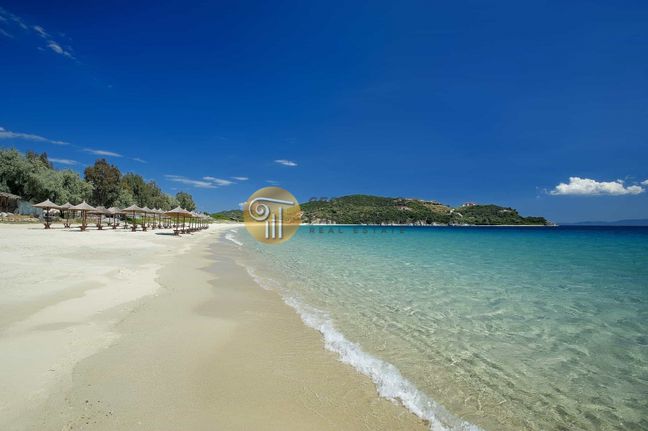 Αγροτεμάχια 11.000 τ.μ. για πώληση, Χαλκιδική, Σταγείρων - Ακάνθου