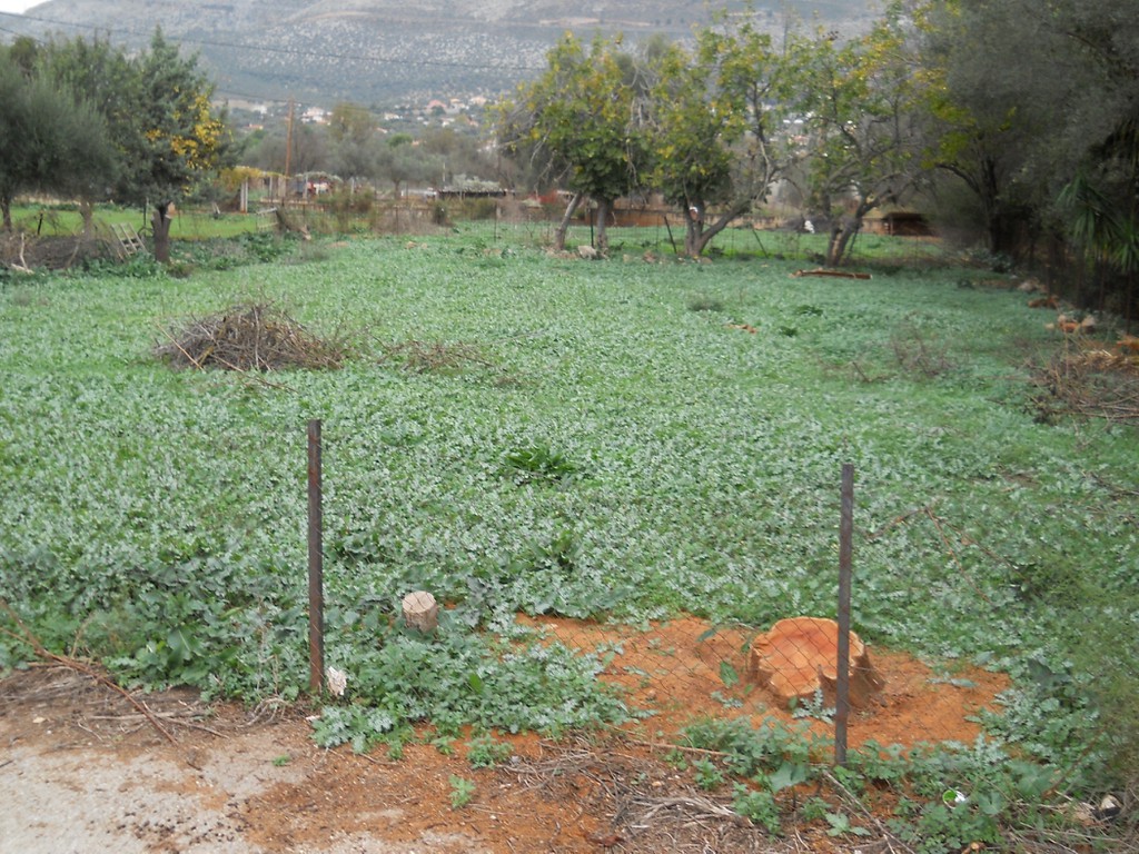 Οικόπεδο 615 τ.μ. πρός πώληση, Εύβοια, Ερέτρια