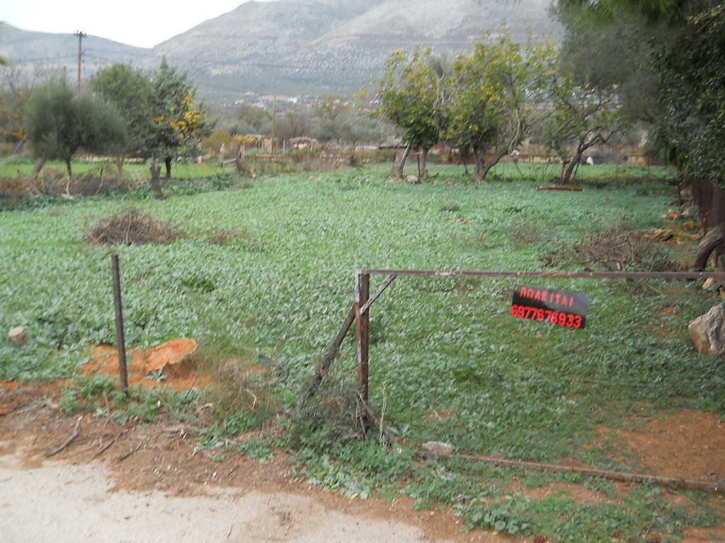 Οικόπεδο 615 τ.μ. πρός πώληση, Εύβοια, Ερέτρια