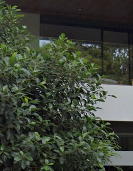 Μονοκατοικία 250τ.μ. για πώληση-Ελληνικό » Κάτω ελληνικό