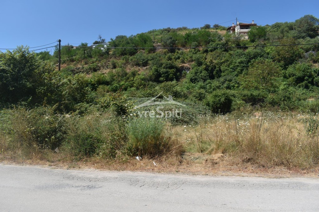 Οικόπεδο 1.200 τ.μ. προς πώληση, Βουνοπλαγιά Πασσαρώνας