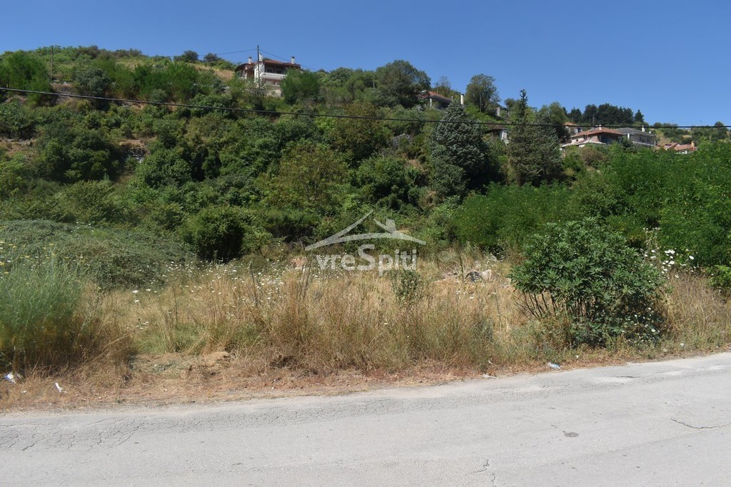 Οικόπεδο 400 τ.μ. για πώληση, Ν. Ιωαννίνων, Πασσαρώνα