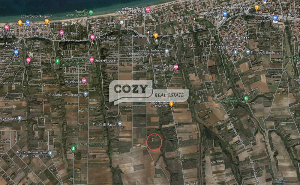 Αγροτεμάχια 12.000 τ.μ. προς πώληση, Νέοι Επιβάτες