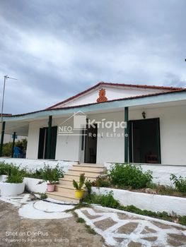 Άλλο 130τ.μ. για πώληση-Πύργος » Σπιάντζα