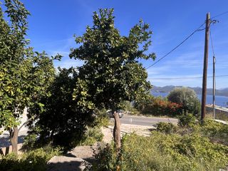 Οικόπεδο 980 τ.μ. για πώληση, Ν. Λευκάδας, Λευκάδα-thumb-2
