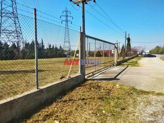 Άλλο 1.000 τ.μ. για ενοικίαση