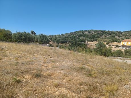 Αγροτεμάχια 4.121 τ.μ. για πώληση