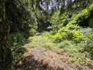 Οικόπεδο 2.000τ.μ. για πώληση-Παρνασσός » Επτάλοφος