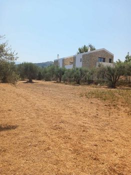 Οικόπεδο 1.300τ.μ. για πώληση-Αιγιάλεια » Λόγγος