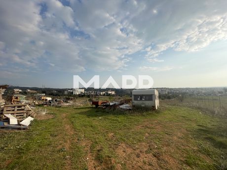 Αγροτεμάχια 2.700τ.μ. για πώληση-Πυλαία » Ελαιώνες