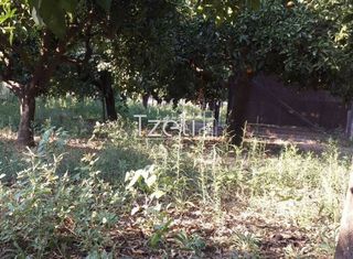 Οικόπεδο 3.250 τ.μ. για πώληση, Αχαΐα, Παραλία-thumb-4