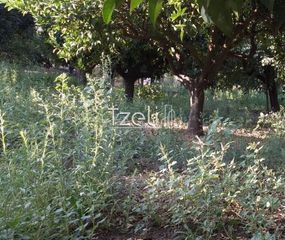 Οικόπεδο 3.250 τ.μ. για πώληση, Αχαΐα, Παραλία-thumb-15