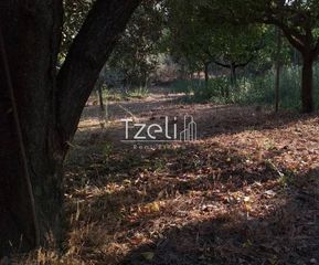 Οικόπεδο 3.250 τ.μ. για πώληση, Αχαΐα, Παραλία-thumb-14