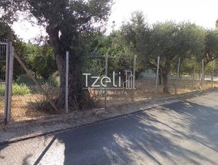 Οικόπεδο 3.250 τ.μ. για πώληση, Αχαΐα, Παραλία-thumb-2