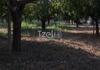 Οικόπεδο 3.250 τ.μ. για πώληση, Αχαΐα, Παραλία-thumb-25