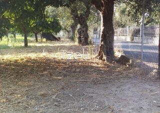 Οικόπεδο 3.250 τ.μ. για πώληση, Αχαΐα, Παραλία-thumb-17
