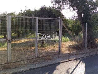 Οικόπεδο 3.250 τ.μ. για πώληση