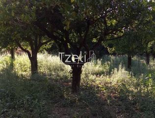 Οικόπεδο 3.250 τ.μ. για πώληση, Αχαΐα, Παραλία-thumb-9
