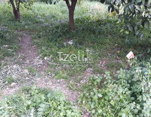 Αγροτεμάχια 2.650 τ.μ. για πώληση, Αχαΐα, Μεσσατίδα-thumb-10