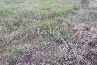 Αγροτεμάχια 2.650 τ.μ. για πώληση, Αχαΐα, Μεσσατίδα-thumb-20