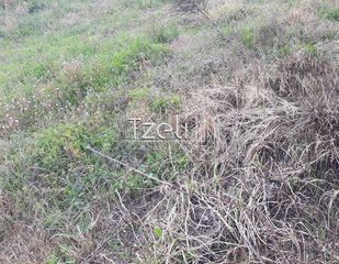 Αγροτεμάχια 2.650 τ.μ. για πώληση, Αχαΐα, Μεσσατίδα-thumb-25