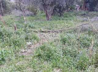 Αγροτεμάχια 2.650 τ.μ. για πώληση