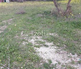Αγροτεμάχια 2.650 τ.μ. για πώληση, Αχαΐα, Μεσσατίδα-thumb-18