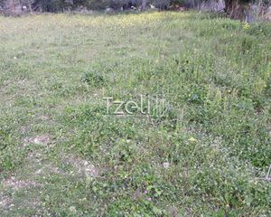 Αγροτεμάχια 2.650 τ.μ. για πώληση, Αχαΐα, Μεσσατίδα-thumb-14