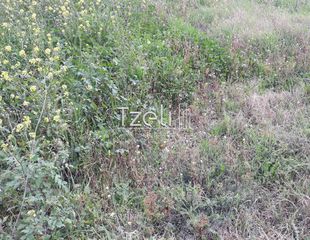 Αγροτεμάχια 2.650 τ.μ. για πώληση, Αχαΐα, Μεσσατίδα-thumb-28