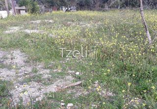 Αγροτεμάχια 2.650 τ.μ. για πώληση, Αχαΐα, Μεσσατίδα-thumb-1