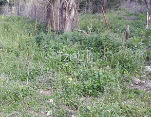 Αγροτεμάχια 2.650 τ.μ. για πώληση, Αχαΐα, Μεσσατίδα-thumb-5