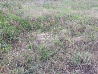 Αγροτεμάχια 2.650 τ.μ. για πώληση, Αχαΐα, Μεσσατίδα-thumb-29