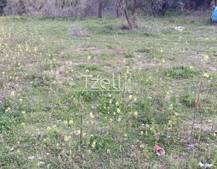 Αγροτεμάχια 2.650 τ.μ. για πώληση, Αχαΐα, Μεσσατίδα-thumb-9