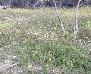 Αγροτεμάχια 2.650 τ.μ. για πώληση, Αχαΐα, Μεσσατίδα-thumb-6