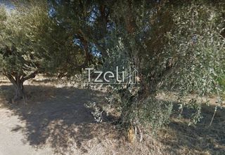 Αγροτεμάχια 1.050 τ.μ. για πώληση, Αχαΐα, Ρίο-thumb-11