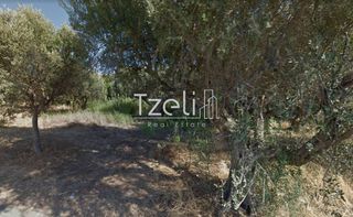 Αγροτεμάχια 1.050 τ.μ. για πώληση, Αχαΐα, Ρίο-thumb-21