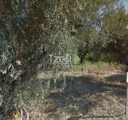 Αγροτεμάχια 1.050 τ.μ. για πώληση, Αχαΐα, Ρίο-thumb-15