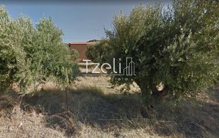 Αγροτεμάχια 1.050 τ.μ. για πώληση, Αχαΐα, Ρίο-thumb-4