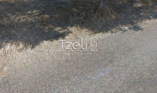 Αγροτεμάχια 1.050 τ.μ. για πώληση, Αχαΐα, Ρίο-thumb-24
