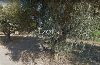 Αγροτεμάχια 1.050 τ.μ. για πώληση, Αχαΐα, Ρίο-thumb-6