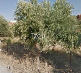 Αγροτεμάχια 1.050 τ.μ. για πώληση, Αχαΐα, Ρίο-thumb-14