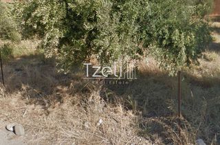 Αγροτεμάχια 1.050 τ.μ. για πώληση, Αχαΐα, Ρίο-thumb-10